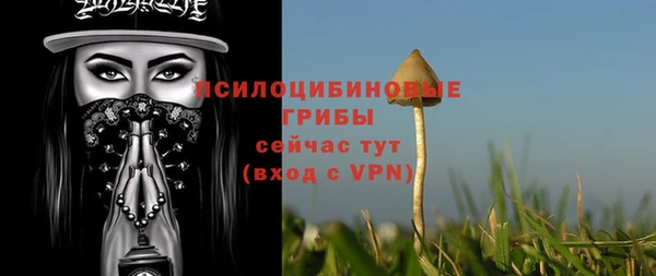 ПСИЛОЦИБИНОВЫЕ ГРИБЫ Армянск