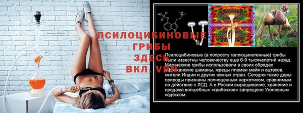 ПСИЛОЦИБИНОВЫЕ ГРИБЫ Армянск