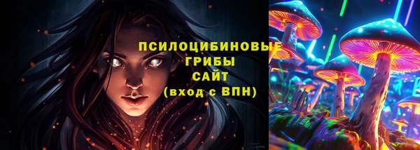 ПСИЛОЦИБИНОВЫЕ ГРИБЫ Армянск