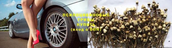 мет Аркадак