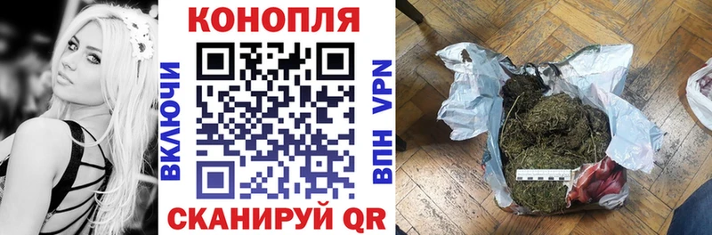 Марихуана сатива  купить  сайты  shop как зайти  Сковородино 